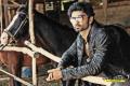 Atharvaa Murali Atharvaa Murali