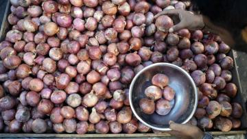 Onion thefts reported across the north as prices soar - Daily news Onion thefts reported across the north as prices soar - Daily news
