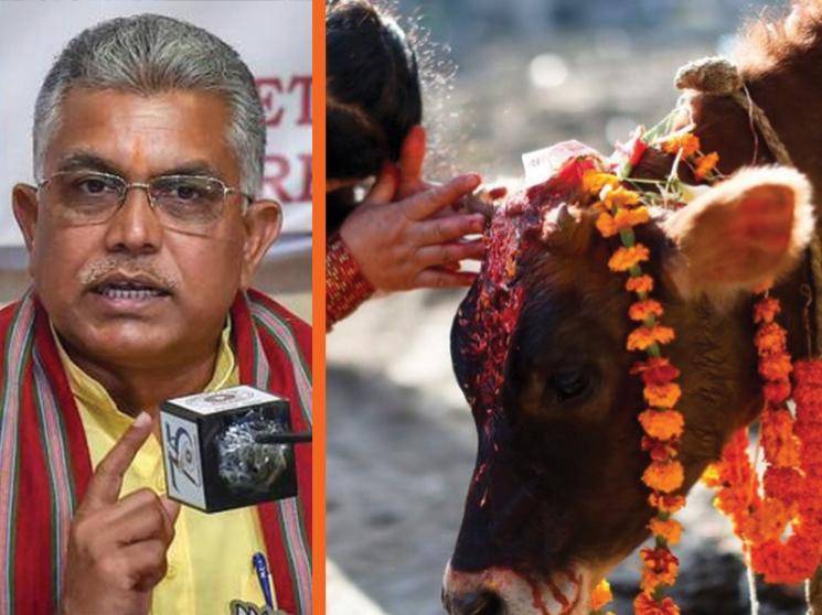 West Bengal BJP chief Dilip Ghosh advises to drink cow urine to fight coronavirus