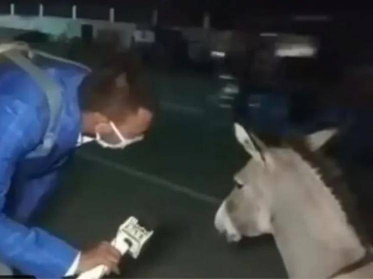 Journalist creates mask awareness for coronavirus crisis by interviewing donkey