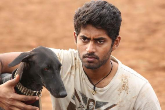 Kathir in Parieryum Perumal