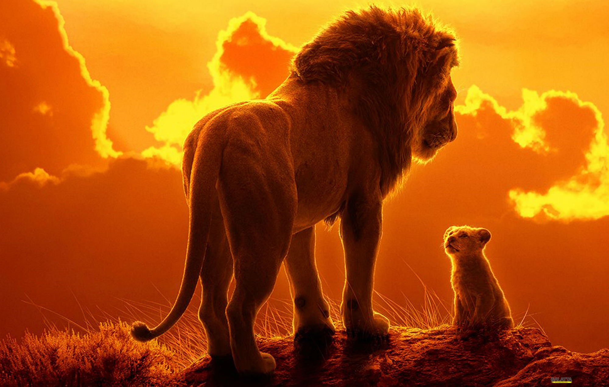 movie review of the lion king