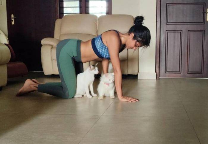 Amala Paul - Photos Stills Images Amala Paul - Photos Stills Images