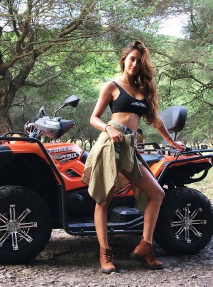 Disha Patani - Photos Stills Images Disha Patani - Photos Stills Images