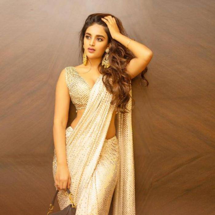 Nidhhi Agerwal - Photos Stills Images Nidhhi Agerwal - Photos Stills Images