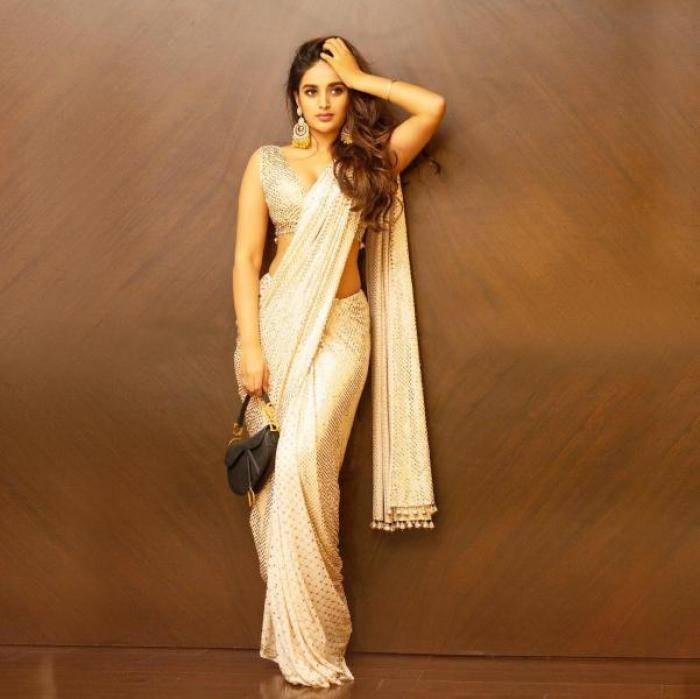 Nidhhi Agerwal - Photos Stills Images Nidhhi Agerwal - Photos Stills Images