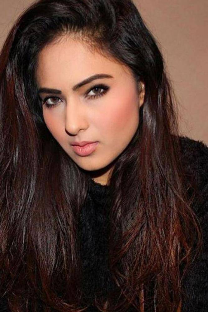 Nikesha Patel - Photos Stills Images Nikesha Patel - Photos Stills Images