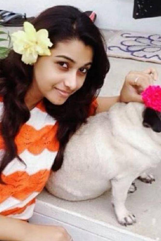 Priya Bhavani Shankar - Photos Stills Images Priya Bhavani Shankar - Photos Stills Images