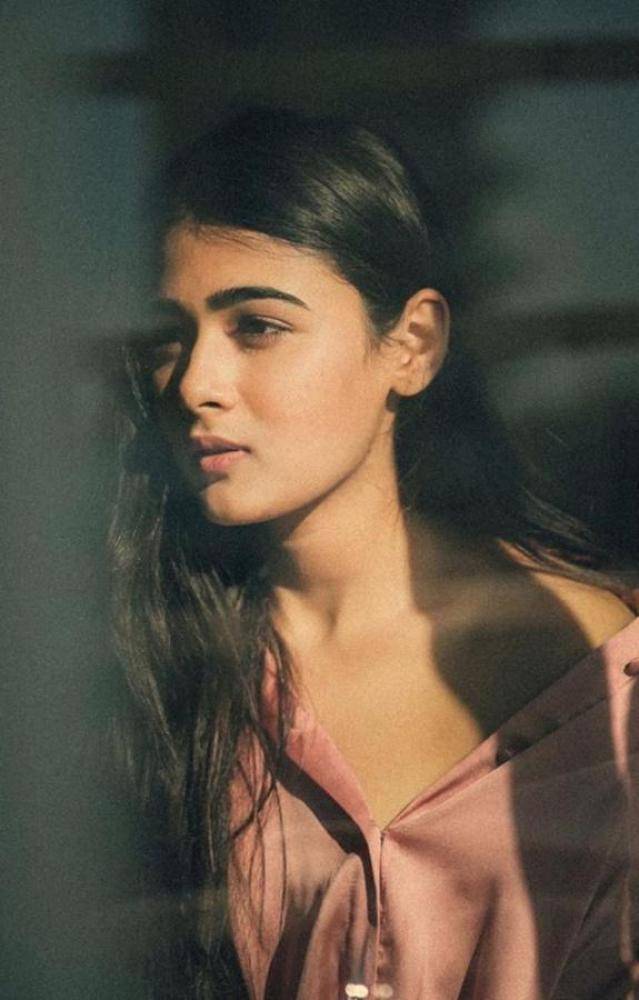Shalini Pandey - Photos Stills Images Shalini Pandey - Photos Stills Images