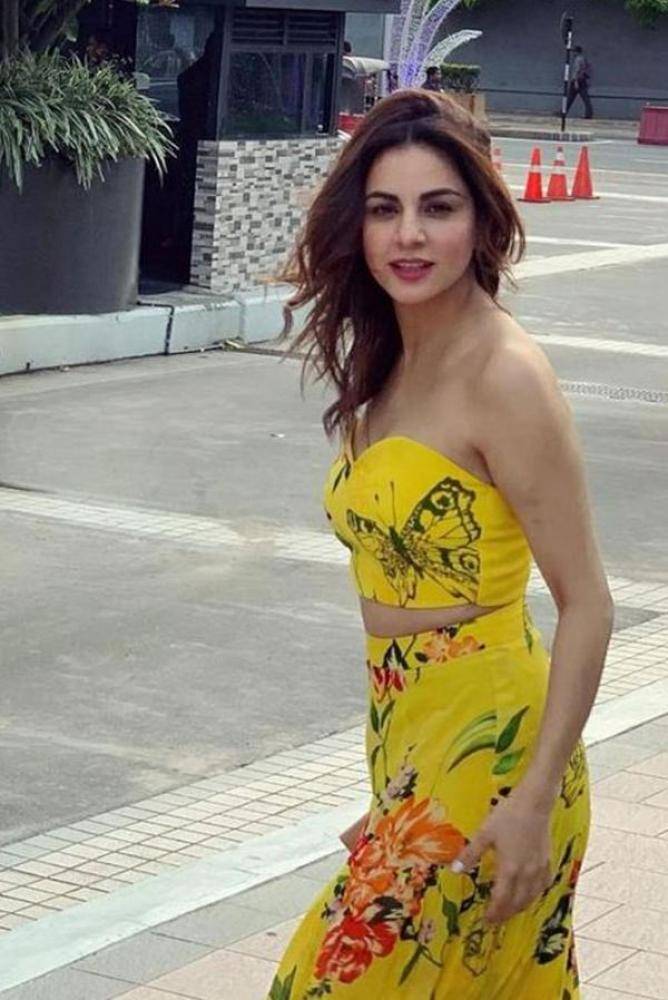 Shraddha Arya - Photos Stills Images Shraddha Arya - Photos Stills Images