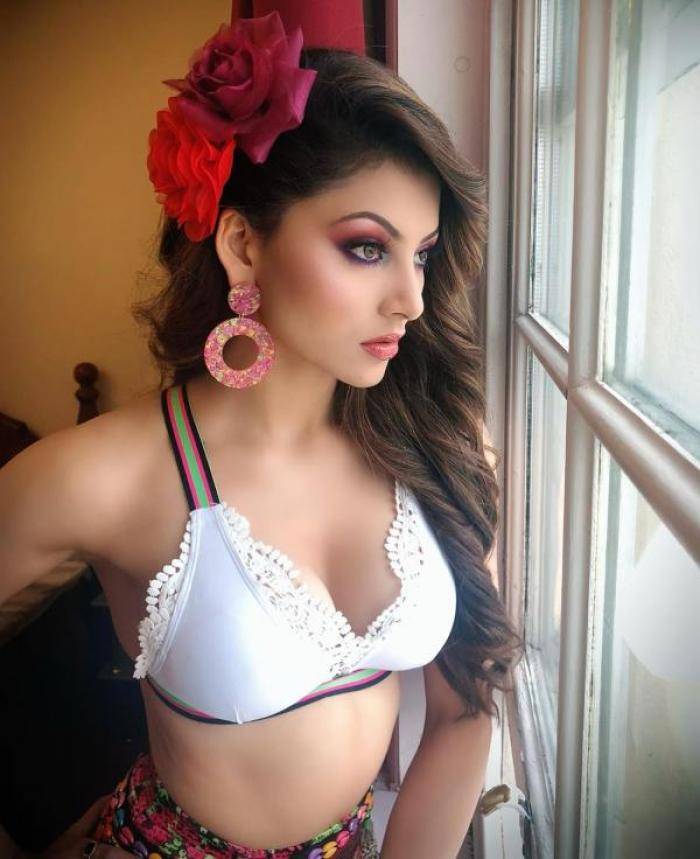 Urvashi Rautela - Photos Stills Images Urvashi Rautela - Photos Stills Images