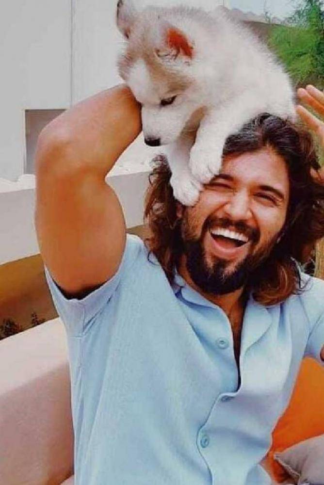 Vijay Devarakonda - Photos Stills Images Vijay Devarakonda - Photos Stills Images