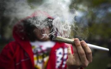  Delhi gets third spot in the world for marijuana use