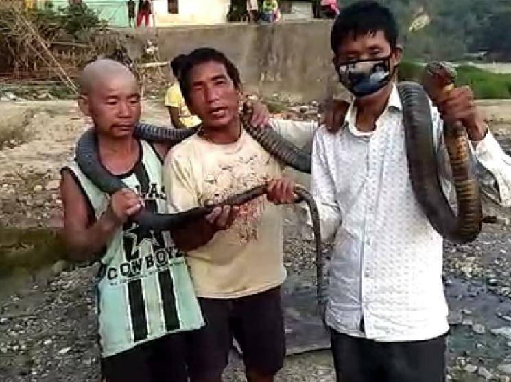 3 Arunachal Pradesh men kill 10 feet cobra for food during COVID