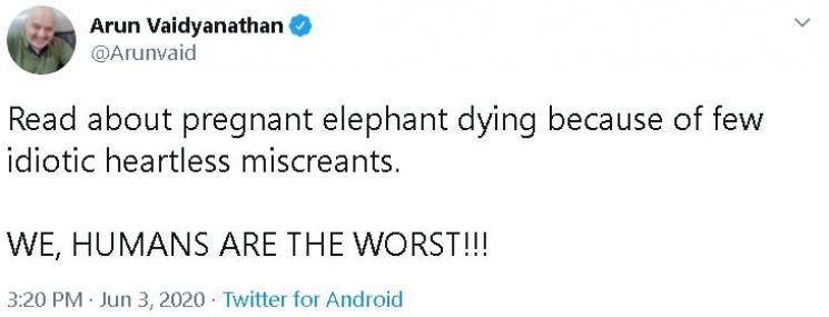 Trisha, Simran, and Atlee react to the tragic death of a pregnant elephant in Kerala