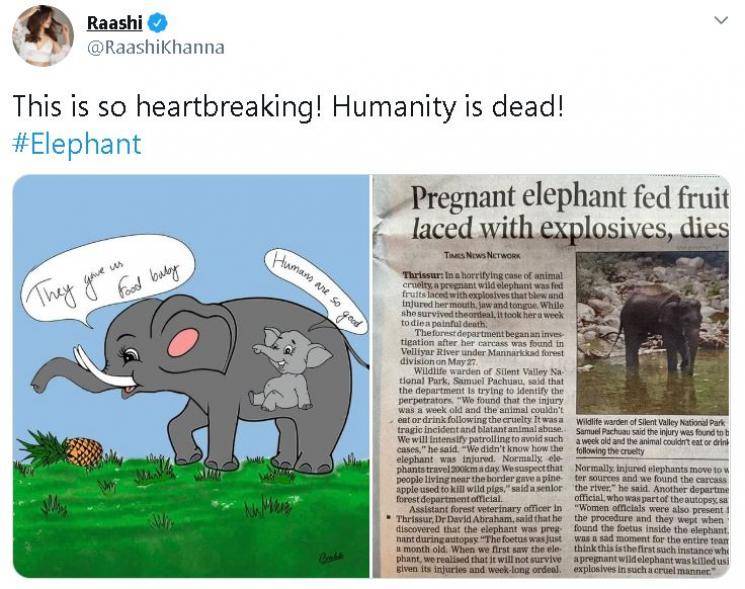 Trisha, Simran, and Atlee react to the tragic death of a pregnant elephant in Kerala