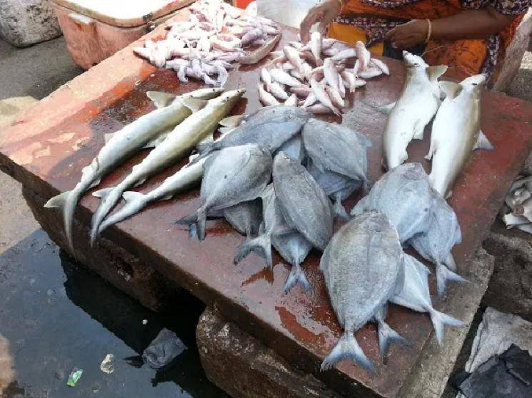 Meat Fish Shops to remain closed in Chennai during lockdown