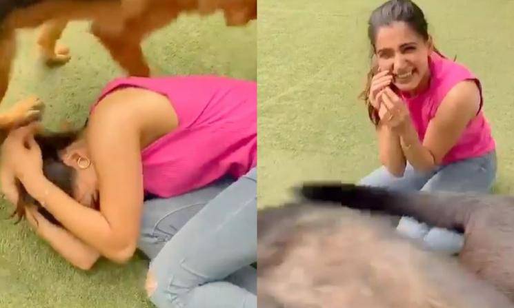Samantha Playing With Her Pet Dogs Video Goes Viral