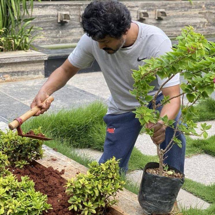 Vijay Planting Saplings Mahesh Babu