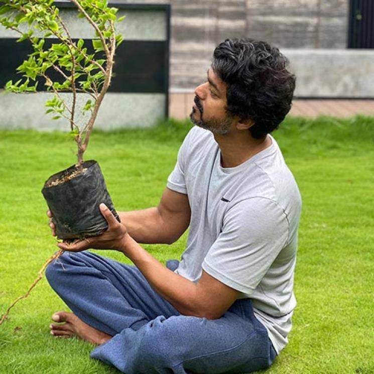 Vijay Planting Saplings Mahesh Babu