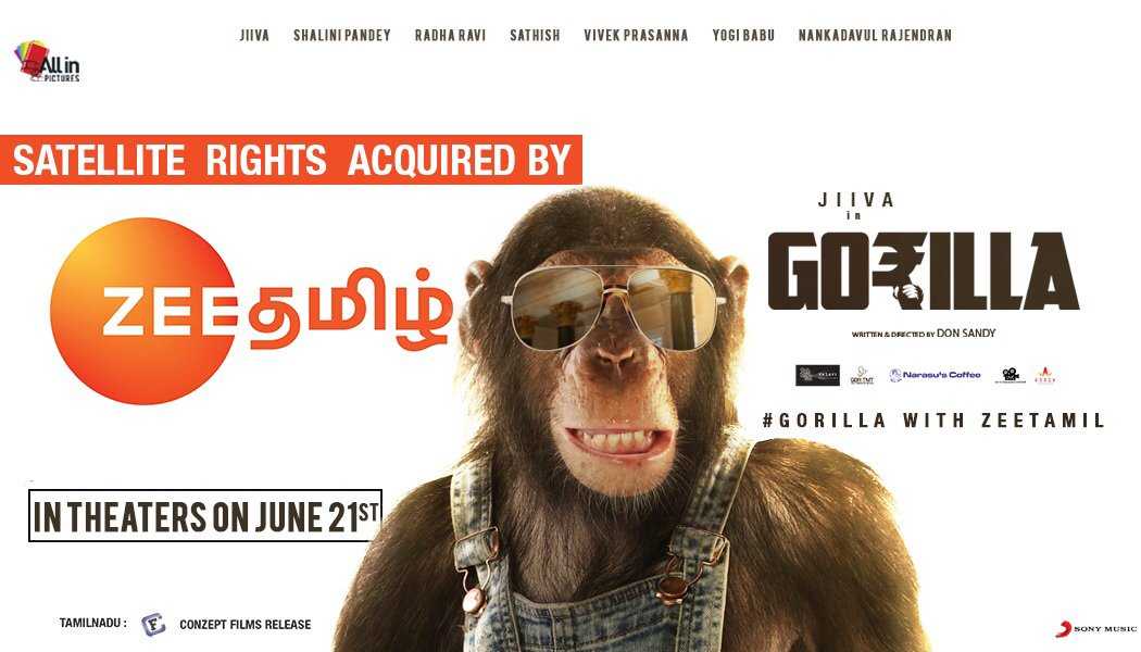 Jiiva Shalini Pandey Starrer Gorilla Satellite Rights Acqured by Leading TV Channel