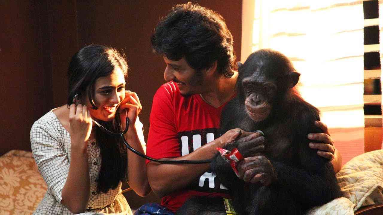 Actor Jiiva Much Awaited Film Faces Problem in Release Full Details Here