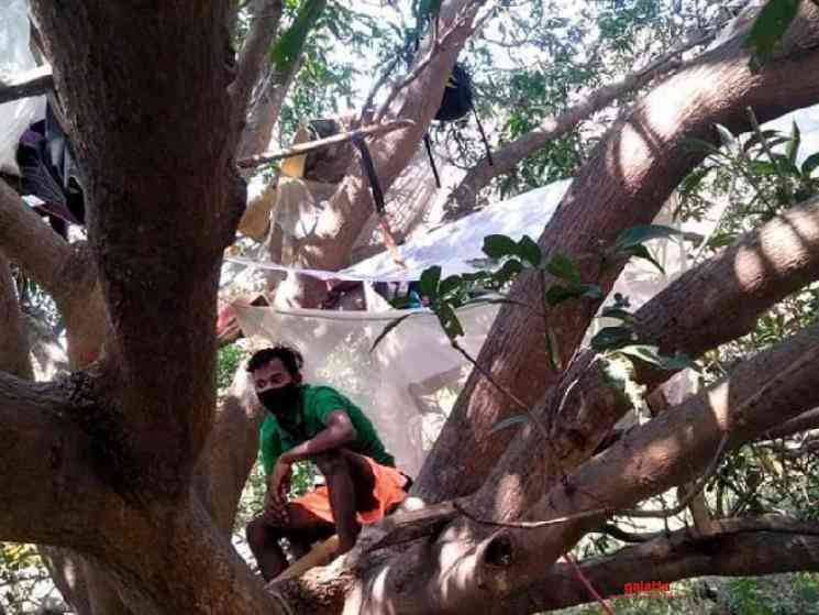 Assam guy forced into quarantine on tree house - Hindi Movie Cinema News