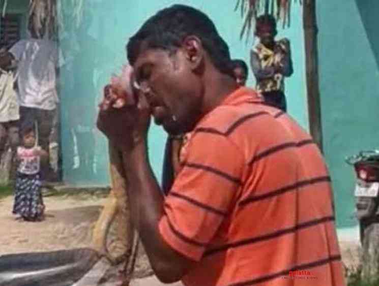 Karnataka Lockdown Drunk man bites snake for blocking path - Tamil Movie Cinema News Karnataka Lockdown Drunk man bites snake for blocking path - Tamil Movie Cinema News