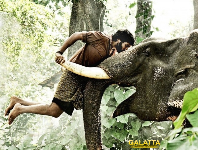 Prabhu Solomon plans Kumki2 for Diwali 2018? Prabhu Solomon plans Kumki2 for Diwali 2018?