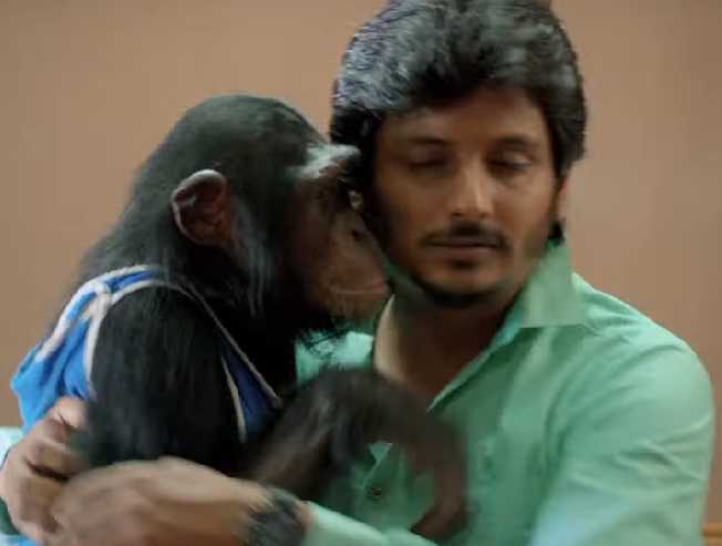 Jiiva's Gorilla Movie Trailer - Funny and interesting  - Tamil Cinema News