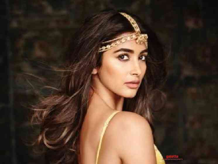 Pooja Hegde loves her job calls Superstar Rajinikanth Legend - Hindi Movie Cinema News