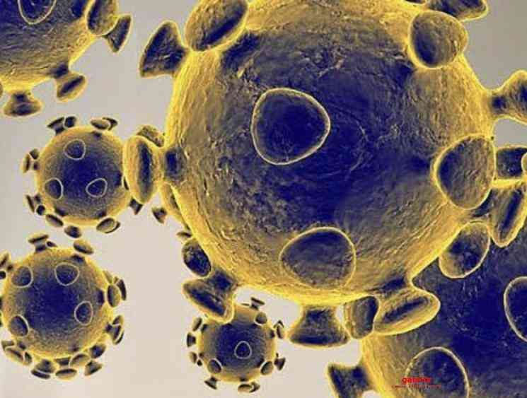 Researchers say SARS antibodies can block COVID 19 infection - Tamil Movie Cinema News