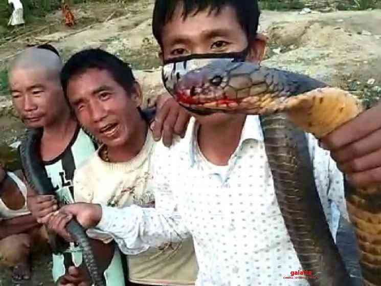 3 Arunachal Pradesh men kill 10 feet cobra for food during COVID - Tamil Movie Cinema News