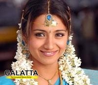 Trisha not doing bold scenes in Dammu Trisha not doing bold scenes in Dammu