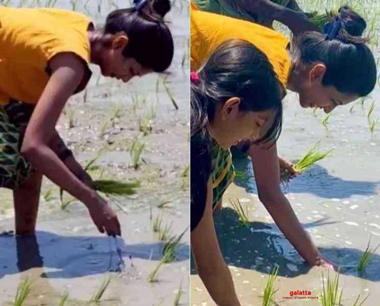 வயலில் நாத்து நடும் கீர்த்தி பாண்டியன் ! - Tamil Movie Cinema News வயலில் நாத்து நடும் கீர்த்தி பாண்டியன் ! - Tamil Movie Cinema News
