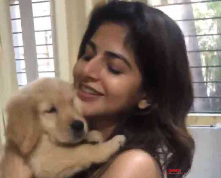 லாக்டவுனில் செல்லப்பிராணியுடன் நேரத்தை கழிக்கும் ஐஸ்வர்யா மேனன் ! - Tamil Movie Cinema News லாக்டவுனில் செல்லப்பிராணியுடன் நேரத்தை கழிக்கும் ஐஸ்வர்யா மேனன் ! - Tamil Movie Cinema News