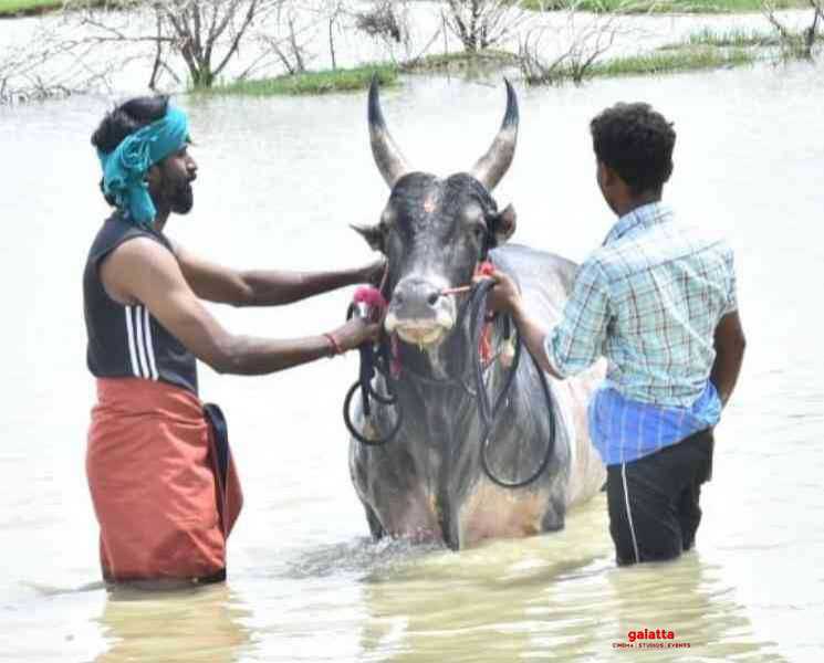 காளையுடன் கம்பீரமாக வீதியுலா சென்ற நடிகர் சூரி ! - Tamil Movie Cinema News காளையுடன் கம்பீரமாக வீதியுலா சென்ற நடிகர் சூரி ! - Tamil Movie Cinema News
