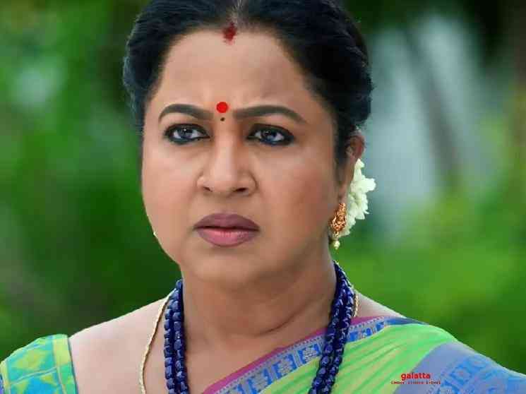 Meera Krishnan plays Mallika character in Radikaa Chithi 2 serial - Tamil Movie Cinema News