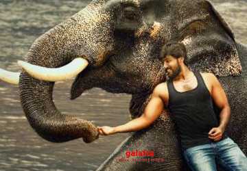 ராஜபீமா படத்தின் ட்ரைலர் வெளியானது ! - Tamil Movie Cinema News ராஜபீமா படத்தின் ட்ரைலர் வெளியானது ! - Tamil Movie Cinema News
