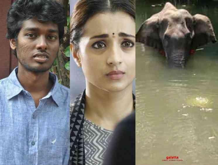 Trisha Simran and Atlee react to pregnant elephant death Kerala - Tamil Movie Cinema News