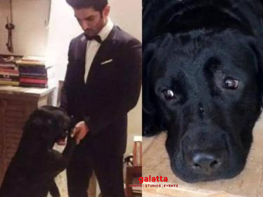 Sushant Singh Rajput's pet dog is dead? Important clarification here!- 