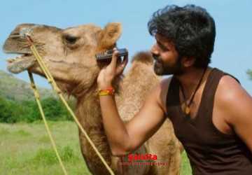 பக்ரீத் படத்தின் பாடல் வீடியோ வெளியானது - Tamil Movie Cinema News பக்ரீத் படத்தின் பாடல் வீடியோ வெளியானது - Tamil Movie Cinema News