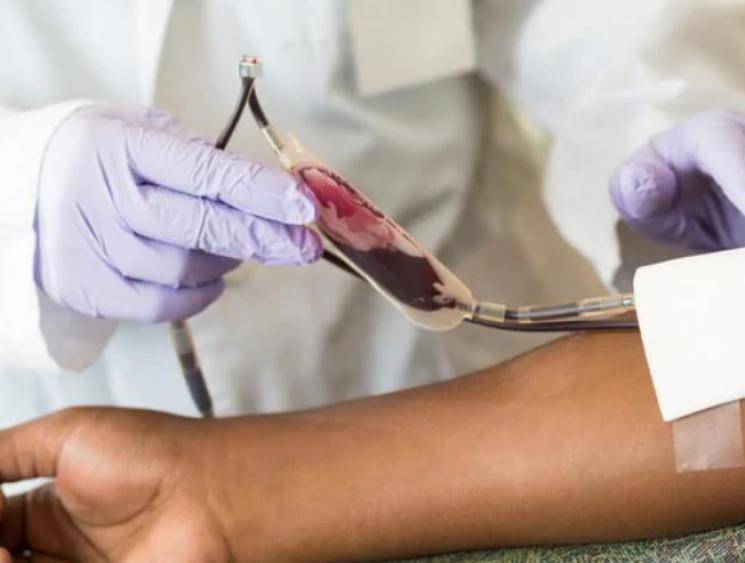Doctors donate blood amid coronavirus pandemic after shortage in blood banks