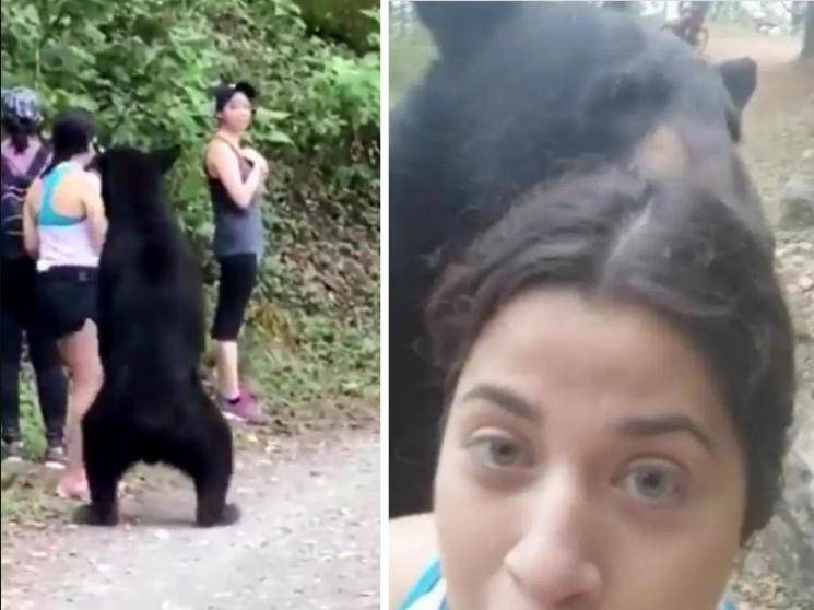 Girls caught by surprise and shock by bear while hiking in ecological park - viral videos!
